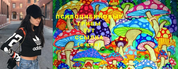 СК Горняк