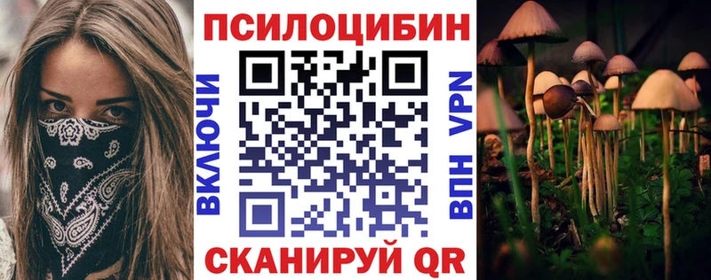 Галлюциногенные грибы мухоморы Приволжский